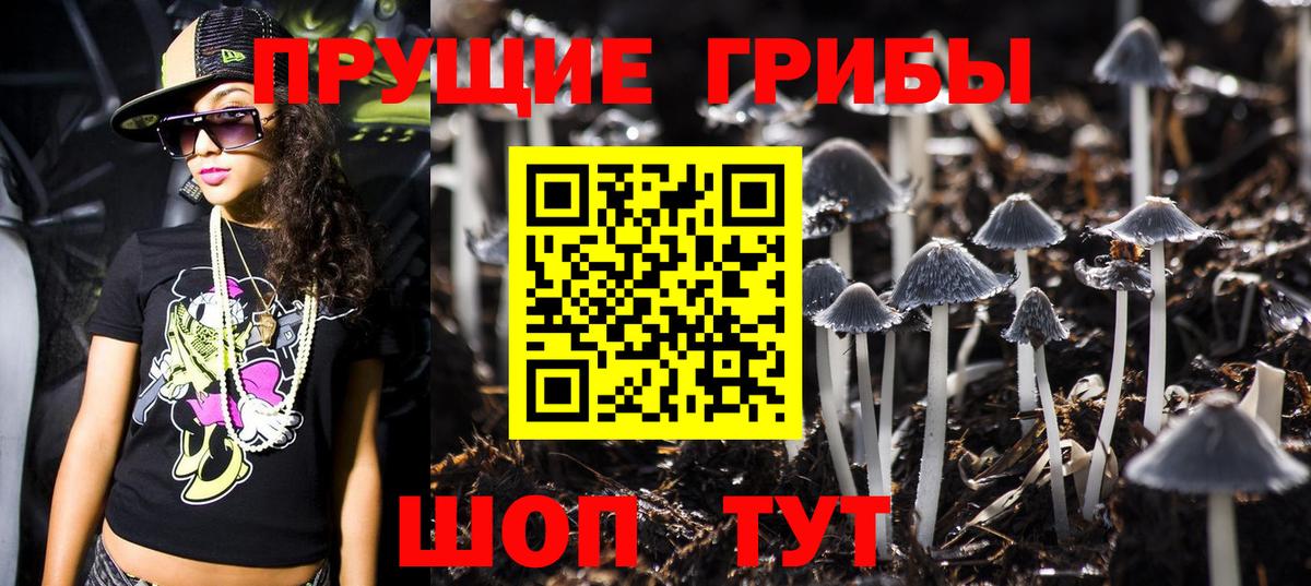 Галлюциногенные грибы мухоморы Вышний Волочёк